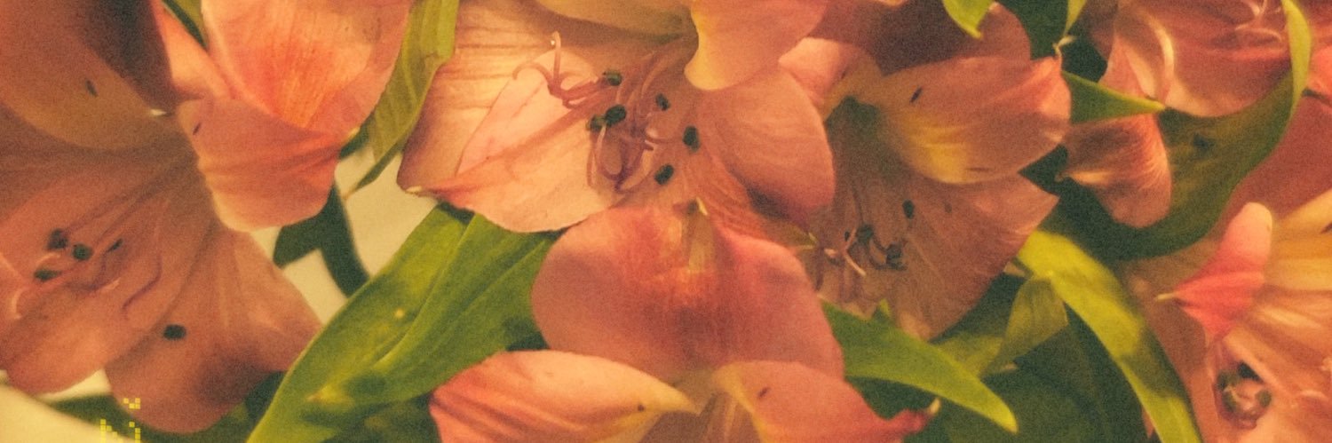 kaiacurry's profile banner image