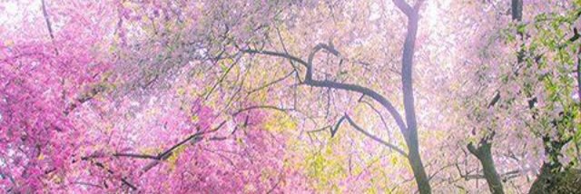 thaginz's profile banner image