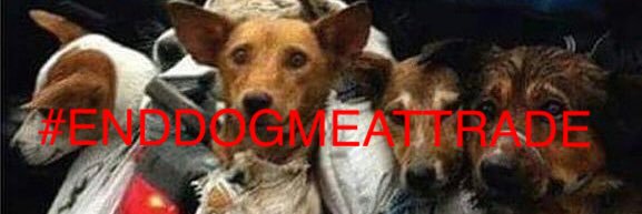 _elizabeach1's profile banner image