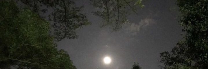 shdwtae's profile banner image