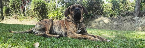 Garayayay Profile Banner