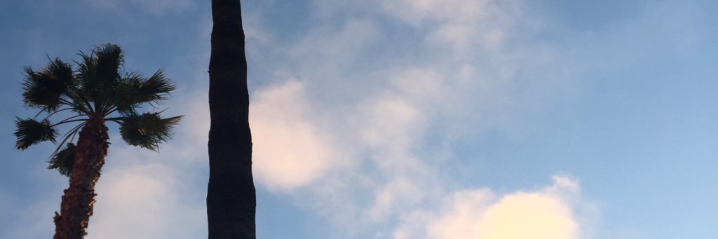janelane86's profile banner image