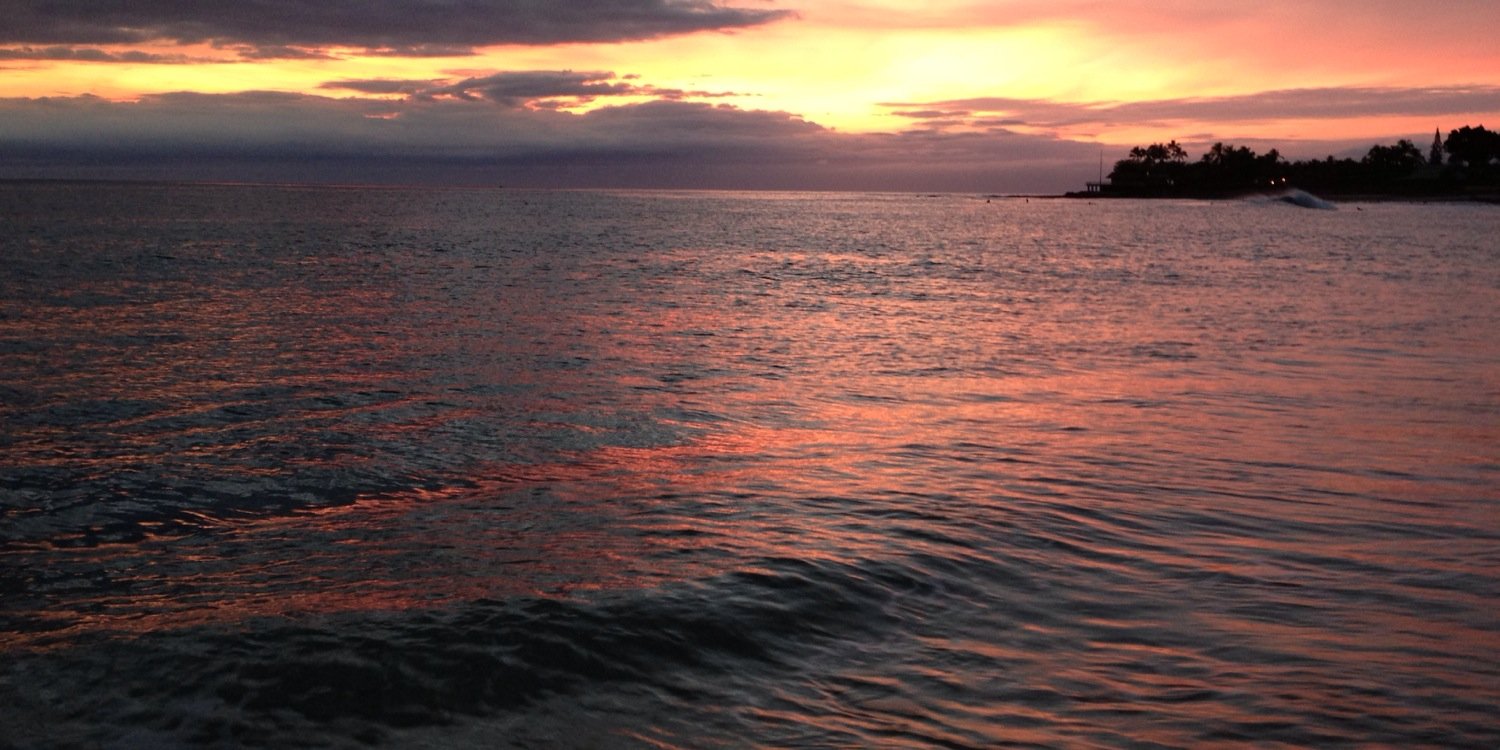 StephanieSilverstein banner