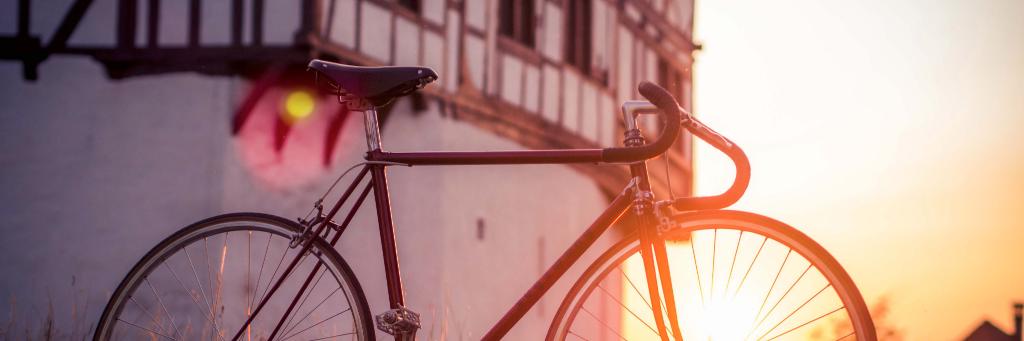 ZugzwangCycles's profile banner image