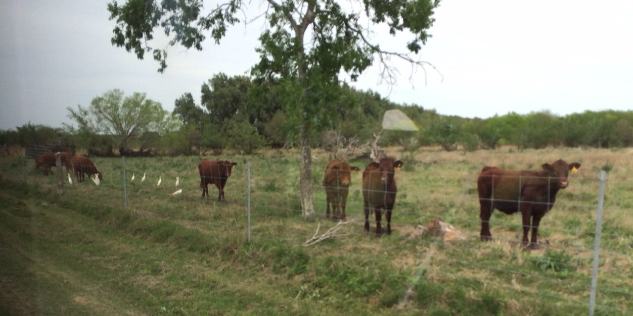 smillard24's profile banner image