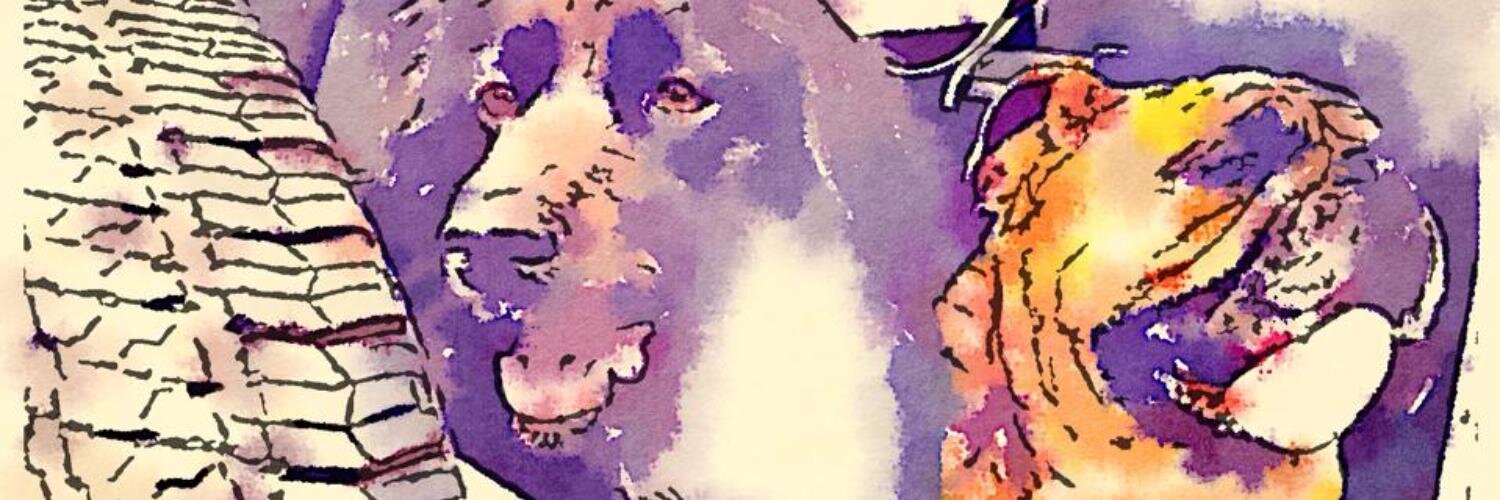 SargeKJ's profile banner image