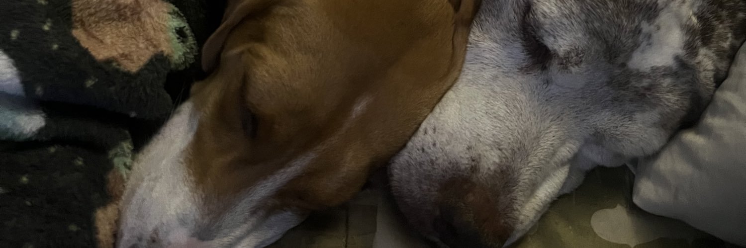 Guistina93's profile banner image