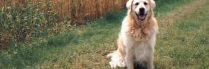 kathyzeb1's profile banner image