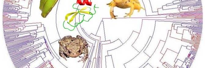 Kevin Arbuckle banner