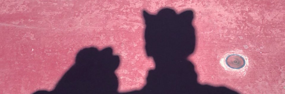 saripipo's profile banner image