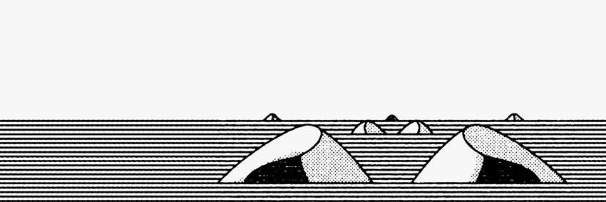 CenturyPalm's profile banner image