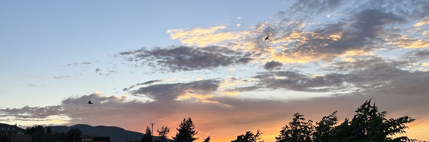 emmy_sin14's profile banner image