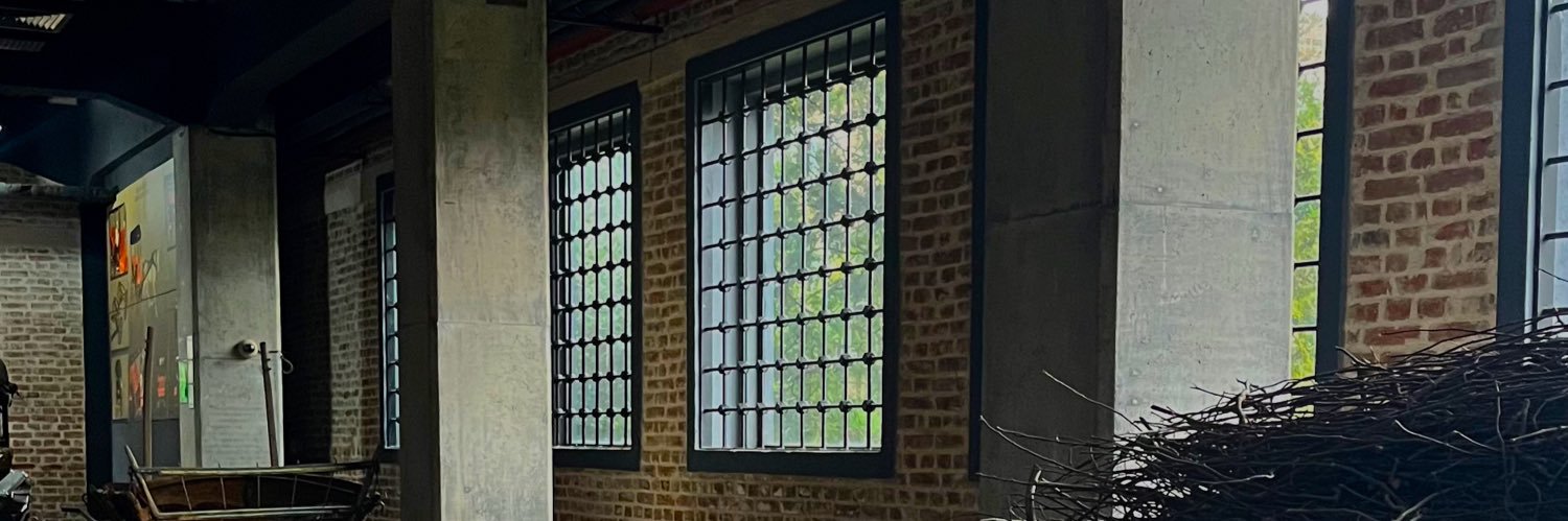 SarulInci's profile banner image