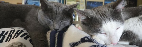 SuaveGoose Profile Banner