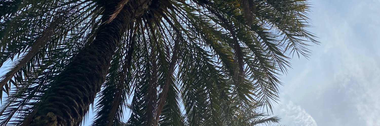 Juli3035's profile banner image