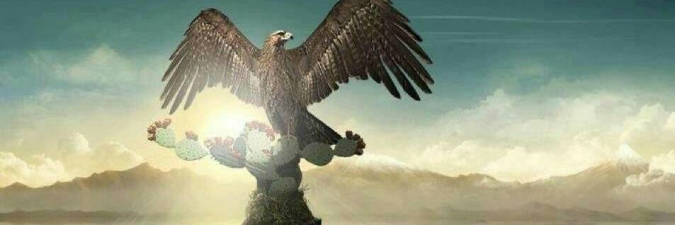 salukmon's profile banner image