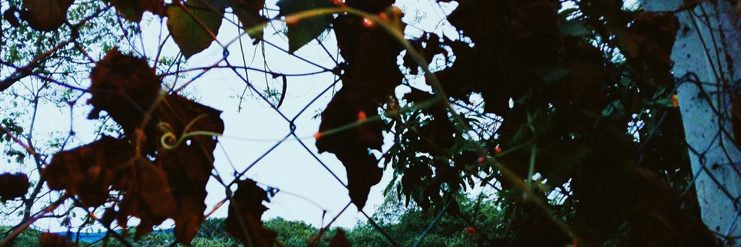 Raillda's profile banner image