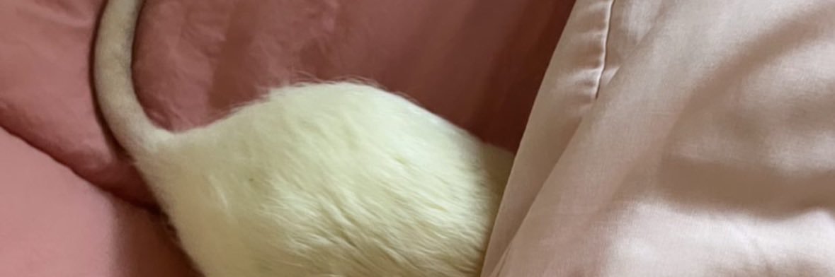 petalsforcrvr's profile banner image
