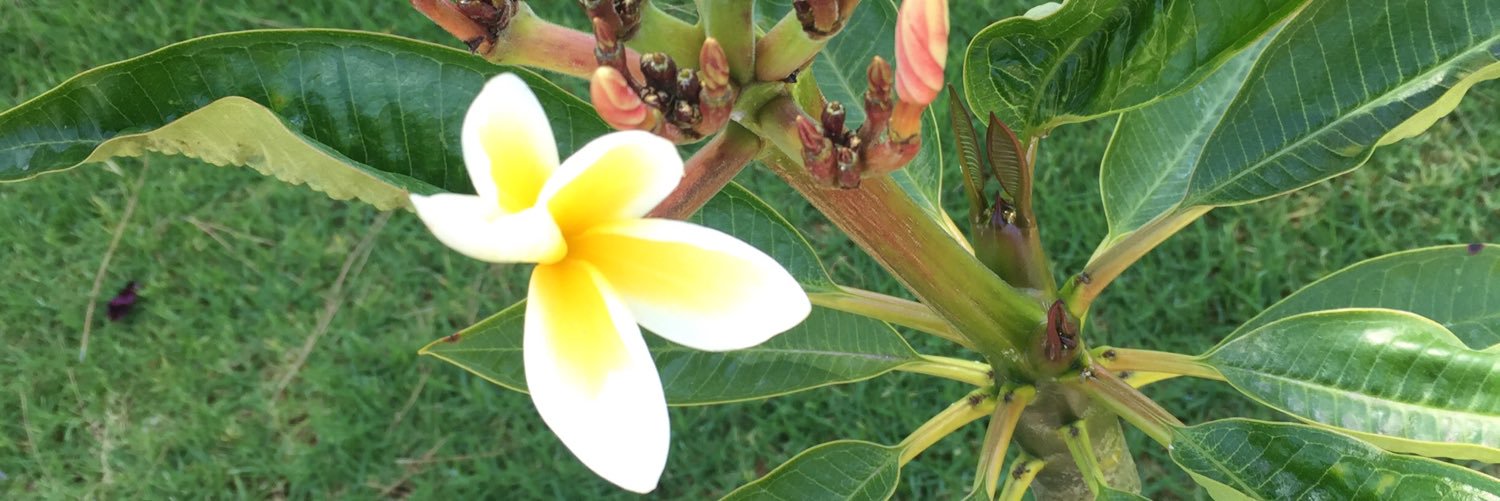 Manda41's profile banner image