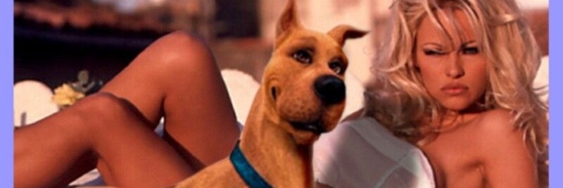 juniordog's profile banner image