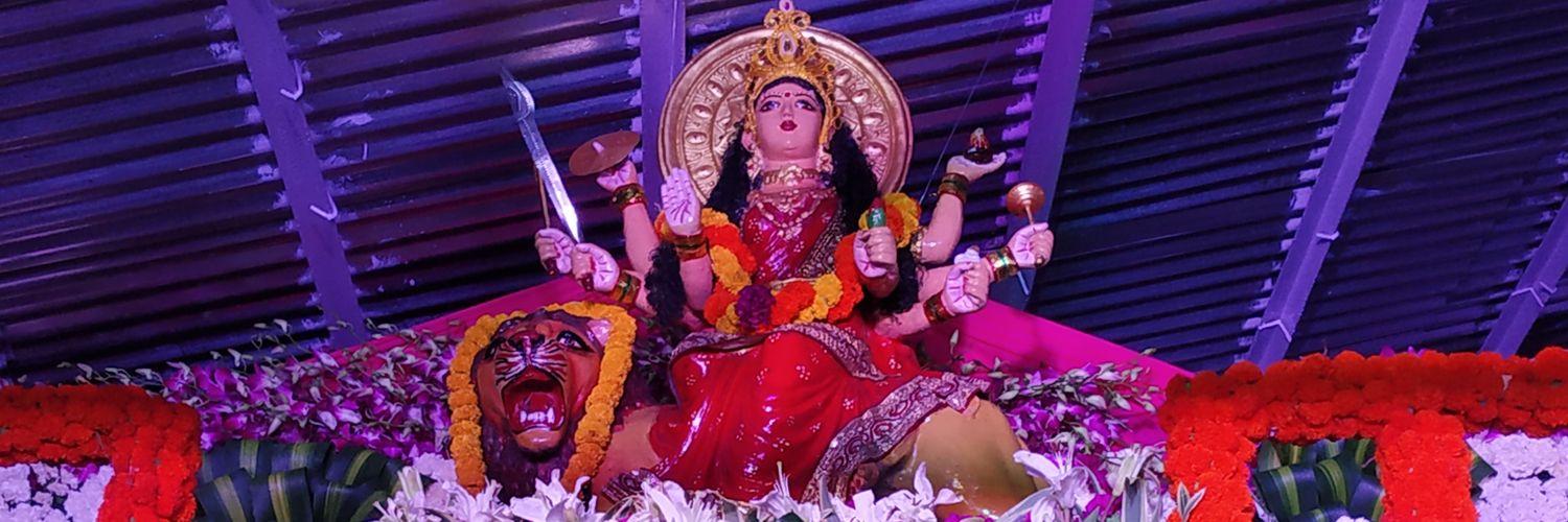 JaniRoushan's profile banner image