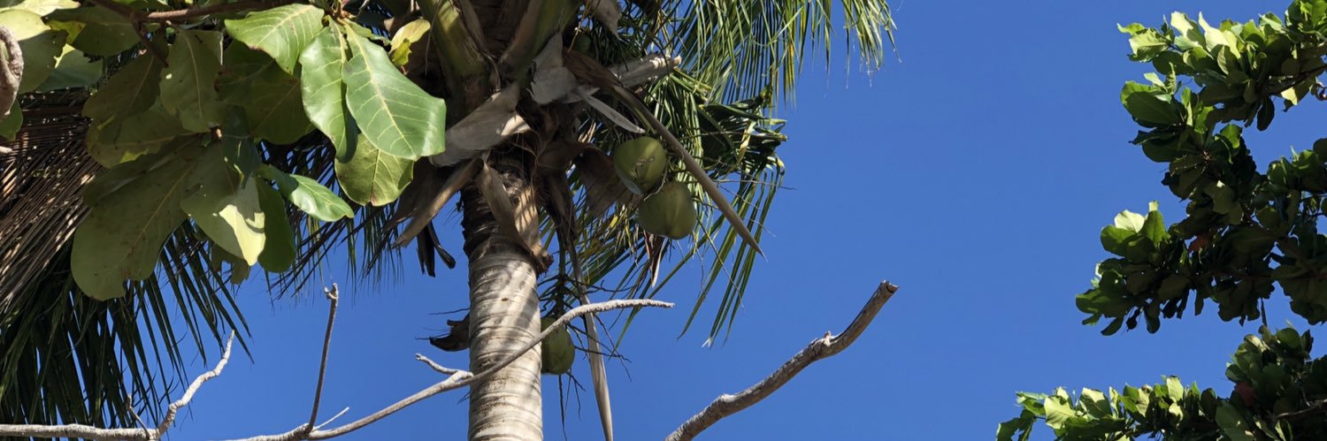 Edwin Sanchez banner