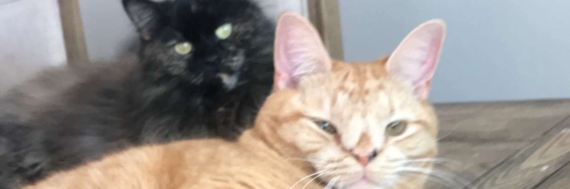 rfuhrmn65's profile banner image