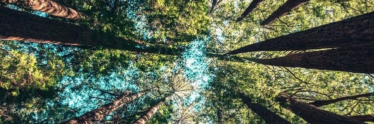 martina___aa's profile banner image