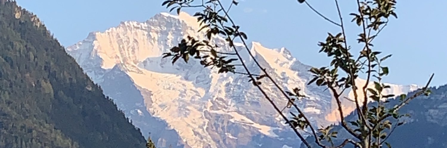 Rumy Mohideen banner