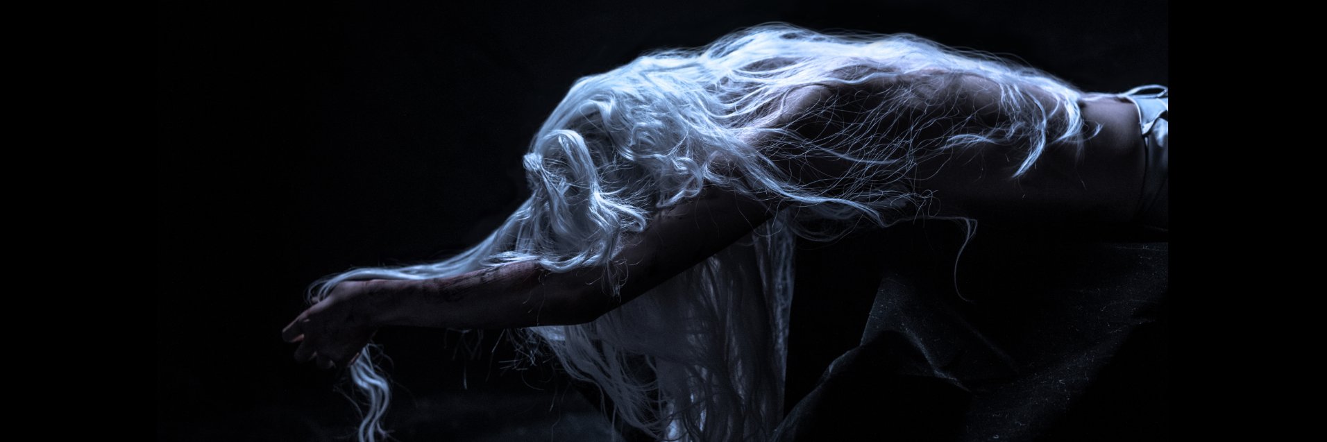wallabybites's profile banner image