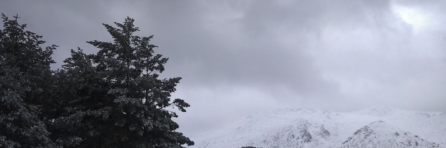 _Javiert_'s profile banner image