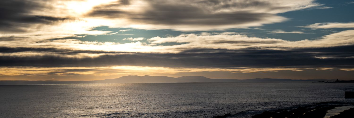 RaggedyBoxSloth's profile banner image