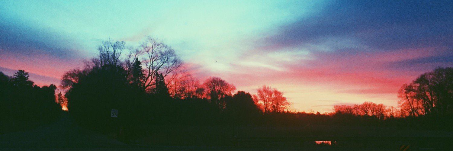 callieabraham's profile banner image