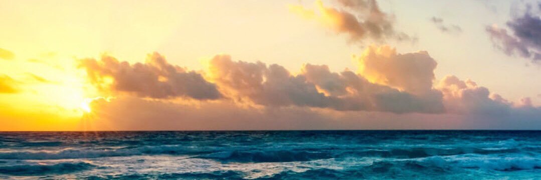 Ivi banner