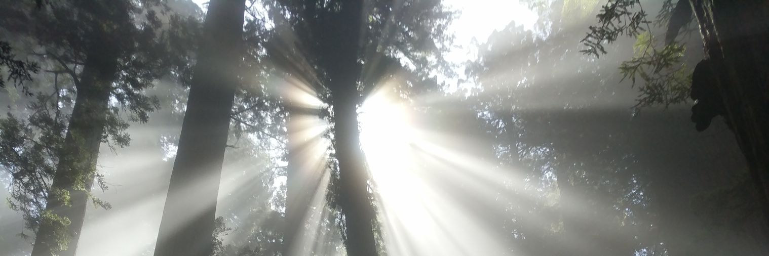mrsteachrlady's profile banner image