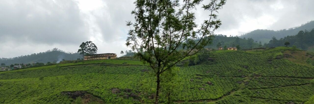 خالد التويجري banner