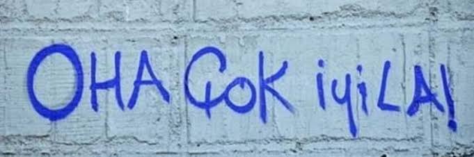 GchnGonul's profile banner image