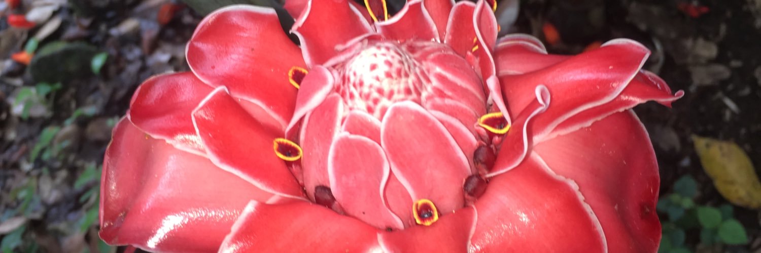 _aeanders's profile banner image