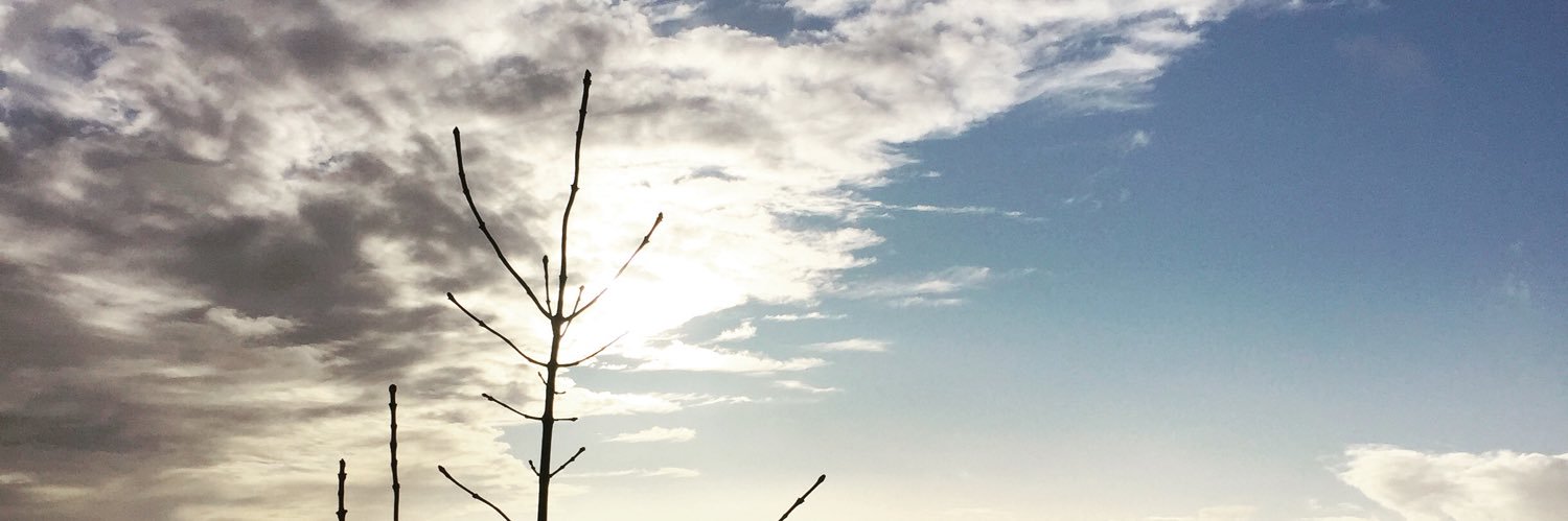 leiasum's profile banner image