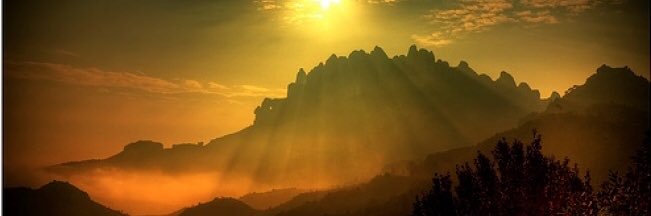 Montse_ASX's profile banner image