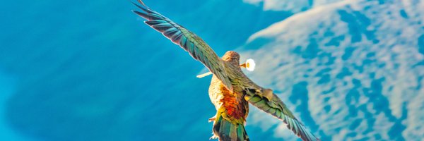 Dodinsky Profile Banner