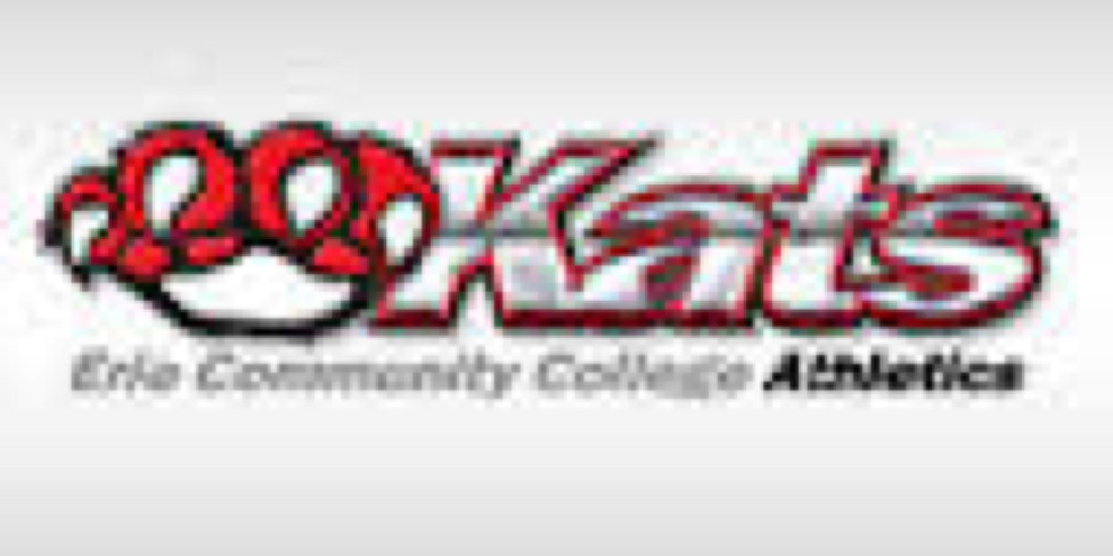 Erie CC Baseball banner