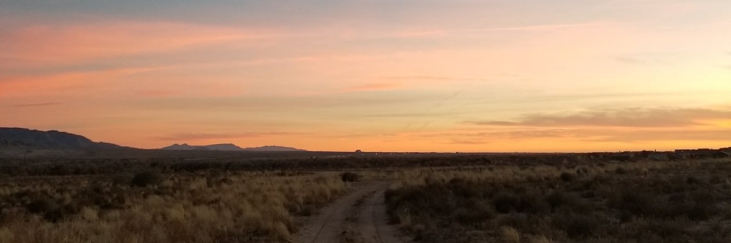 LorileiChavez's profile banner image