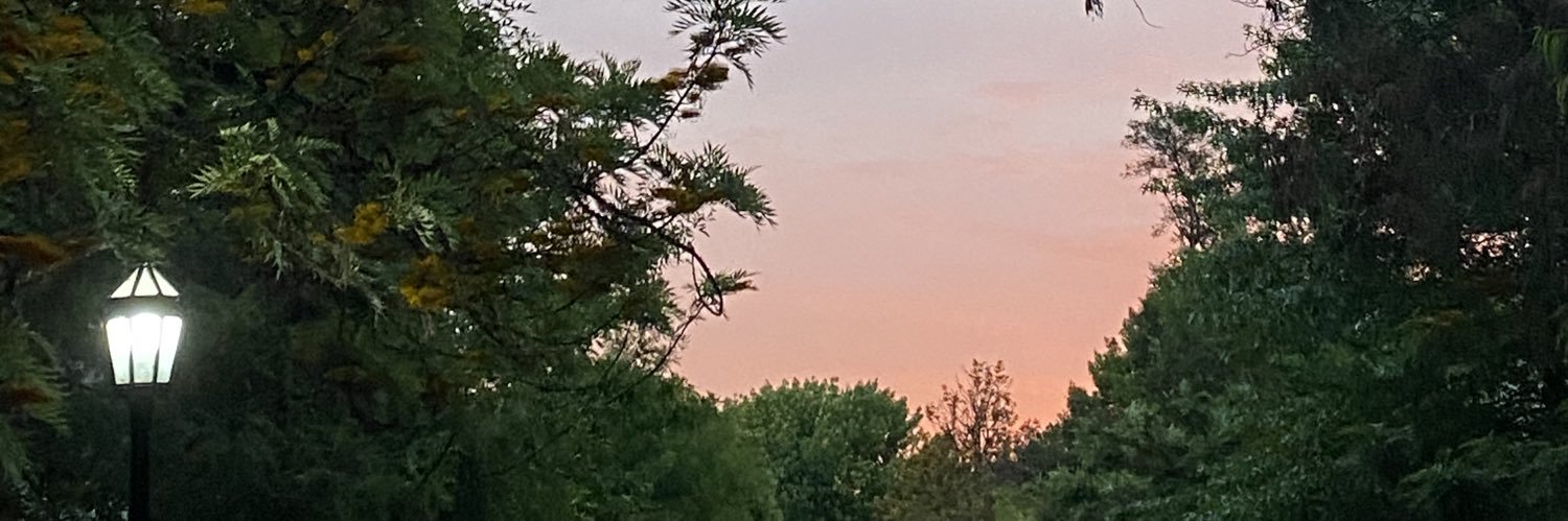 lorexa__'s profile banner image