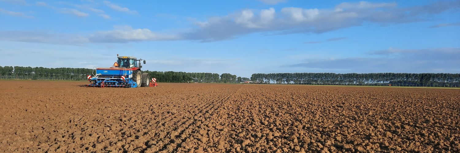 Dominique Cammaert banner