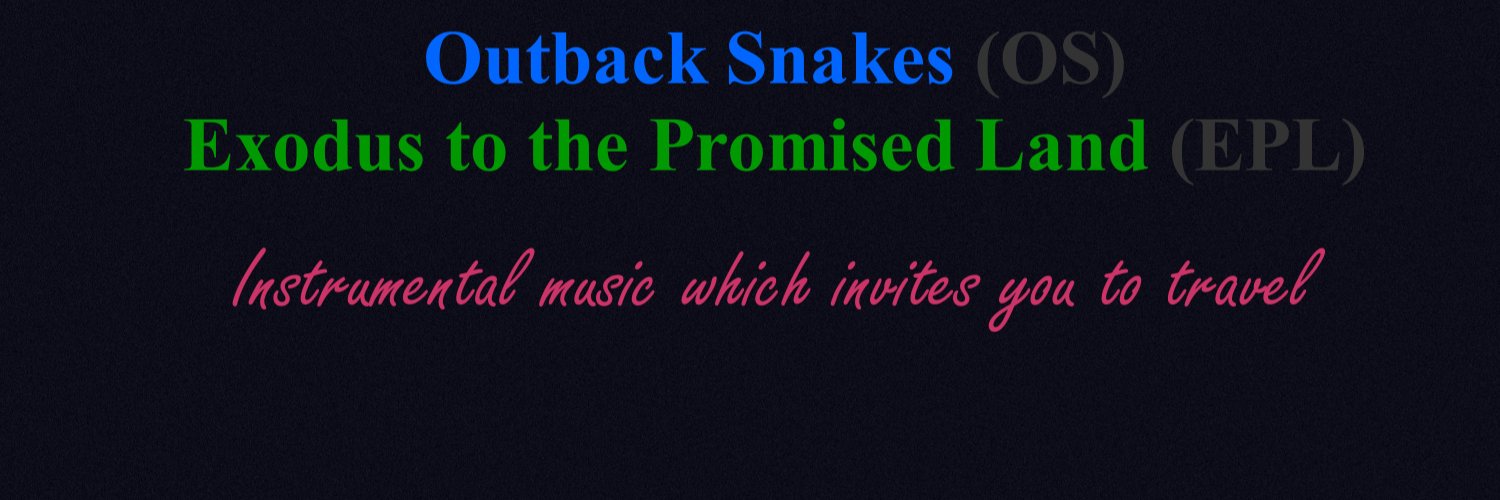 outbacksnakes's profile banner image