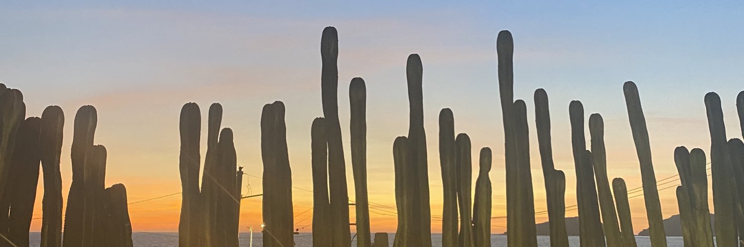 Samgl_03's profile banner image