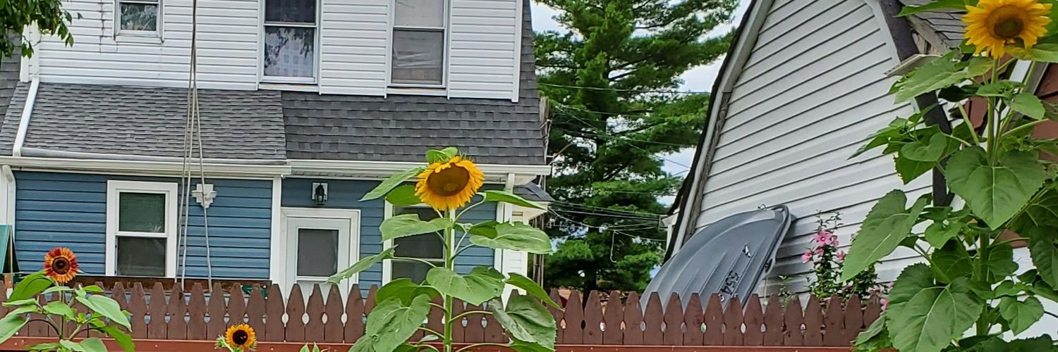 StoryLew's profile banner image