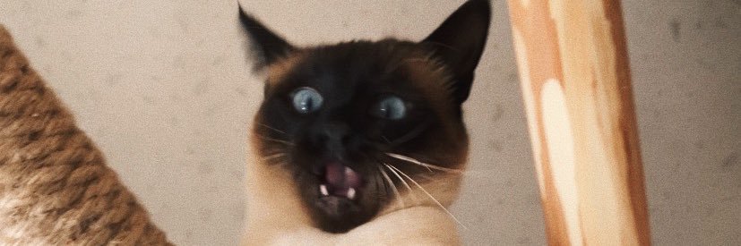 _leylux's profile banner image