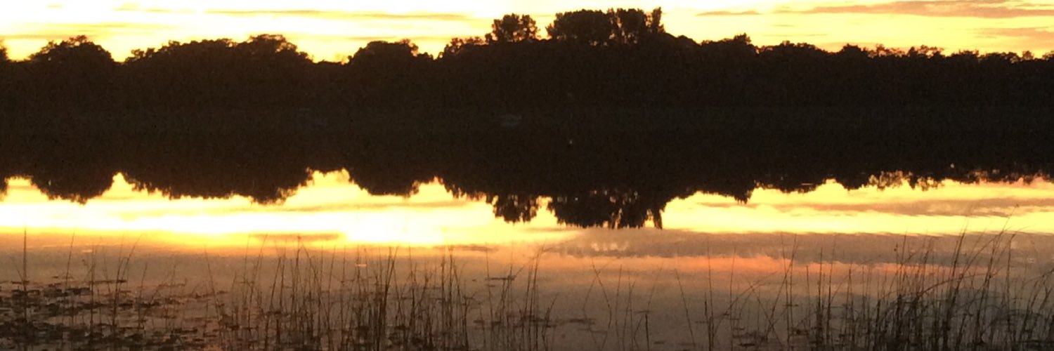 LundtTechnology's profile banner image